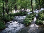 Indinsk eky Chorvatska, Super akce pro vechny pznivce ndhern prody, tepl vody a prosted kter dvrn znte z Vinetua. Prost tden jeden na nejhezch ekch.... a navc stabiln poas a celkov pohoda. - fotografie 56