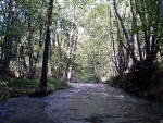 VAVINEC - zveren provrka a adrenalinov nhul, Poas vylo skvle, v sobotu bylo nad pomry vody hodn a nedle? no to byla klasick pohodika. Slunce, dobr parta a tradin skvl vodck zbava v Hornch Krtech pinesla vem skvl zitky. N - fotografie 156