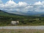 Norsko 2006, Ndhern, pro Norsko ne pln typick poas, vstup na nejvy horu severn Evropy, vyjka  na motorovch lunech Geirangerfjordem, pdlovn v peejch norsk krlovny raftingu Sjoi a spousta dal - fotografie 40