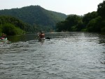 JIN PERLY ESKCH EK, Ndhern poas a skvl nlada panovala od prvn chvle. Berounka mla nad pomry ndhernou vodu stejn jako Otava a Vltava. Nsledn ochlazen a det ponkud schladili i poten naden, ale pes - fotografie 10