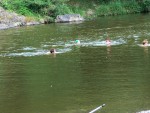 JIŽNÍ PERLY ČESKÝCH ŘEK, Nádherné počasí a skvělá nálada panovala od první chvíle. Berounka měla nad poměry nádhernou vodu stejně jako Otava a Vltava. Následné ochlazení a deště poněkud schladili i počáteční nadšení, ale přes - fotografie 28