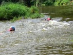 JIN PERLY ESKCH EK, Ndhern poas a skvl nlada panovala od prvn chvle. Berounka mla nad pomry ndhernou vodu stejn jako Otava a Vltava. Nsledn ochlazen a det ponkud schladili i poten naden, ale pes - fotografie 46