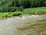 JIN PERLY ESKCH EK, Ndhern poas a skvl nlada panovala od prvn chvle. Berounka mla nad pomry ndhernou vodu stejn jako Otava a Vltava. Nsledn ochlazen a det ponkud schladili i poten naden, ale pes - fotografie 58