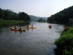 JIN PERLY ESKCH EK, Ndhern poas a skvl nlada panovala od prvn chvle. Berounka mla nad pomry ndhernou vodu stejn jako Otava a Vltava. Nsledn ochlazen a det ponkud schladili i poten naden, ale pes - fotografie 96