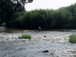 JIN PERLY ESKCH EK, Ndhern poas a skvl nlada panovala od prvn chvle. Berounka mla nad pomry ndhernou vodu stejn jako Otava a Vltava. Nsledn ochlazen a det ponkud schladili i poten naden, ale pes - fotografie 101