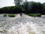 JIN PERLY ESKCH EK, Ndhern poas a skvl nlada panovala od prvn chvle. Berounka mla nad pomry ndhernou vodu stejn jako Otava a Vltava. Nsledn ochlazen a det ponkud schladili i poten naden, ale pes - fotografie 103