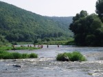 JIN PERLY ESKCH EK, Ndhern poas a skvl nlada panovala od prvn chvle. Berounka mla nad pomry ndhernou vodu stejn jako Otava a Vltava. Nsledn ochlazen a det ponkud schladili i poten naden, ale pes - fotografie 107