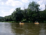 JIN PERLY ESKCH EK, Ndhern poas a skvl nlada panovala od prvn chvle. Berounka mla nad pomry ndhernou vodu stejn jako Otava a Vltava. Nsledn ochlazen a det ponkud schladili i poten naden, ale pes - fotografie 145