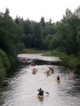 JIN PERLY ESKCH EK, Ndhern poas a skvl nlada panovala od prvn chvle. Berounka mla nad pomry ndhernou vodu stejn jako Otava a Vltava. Nsledn ochlazen a det ponkud schladili i poten naden, ale pes - fotografie 186