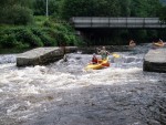 JIN PERLY ESKCH EK, Ndhern poas a skvl nlada panovala od prvn chvle. Berounka mla nad pomry ndhernou vodu stejn jako Otava a Vltava. Nsledn ochlazen a det ponkud schladili i poten naden, ale pes - fotografie 227