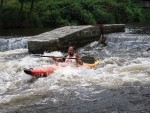 JIN PERLY ESKCH EK, Ndhern poas a skvl nlada panovala od prvn chvle. Berounka mla nad pomry ndhernou vodu stejn jako Otava a Vltava. Nsledn ochlazen a det ponkud schladili i poten naden, ale pes - fotografie 233