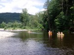 JIN PERLY ESKCH EK, Ndhern poas a skvl nlada panovala od prvn chvle. Berounka mla nad pomry ndhernou vodu stejn jako Otava a Vltava. Nsledn ochlazen a det ponkud schladili i poten naden, ale pes - fotografie 242