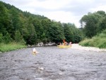 JIN PERLY ESKCH EK, Ndhern poas a skvl nlada panovala od prvn chvle. Berounka mla nad pomry ndhernou vodu stejn jako Otava a Vltava. Nsledn ochlazen a det ponkud schladili i poten naden, ale pes - fotografie 245