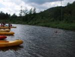 JIN PERLY ESKCH EK, Ndhern poas a skvl nlada panovala od prvn chvle. Berounka mla nad pomry ndhernou vodu stejn jako Otava a Vltava. Nsledn ochlazen a det ponkud schladili i poten naden, ale pes - fotografie 247