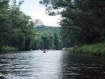 JIN PERLY ESKCH EK, Ndhern poas a skvl nlada panovala od prvn chvle. Berounka mla nad pomry ndhernou vodu stejn jako Otava a Vltava. Nsledn ochlazen a det ponkud schladili i poten naden, ale pes - fotografie 263