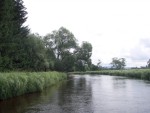 JIN PERLY ESKCH EK, Ndhern poas a skvl nlada panovala od prvn chvle. Berounka mla nad pomry ndhernou vodu stejn jako Otava a Vltava. Nsledn ochlazen a det ponkud schladili i poten naden, ale pes - fotografie 284