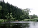 JIN PERLY ESKCH EK, Ndhern poas a skvl nlada panovala od prvn chvle. Berounka mla nad pomry ndhernou vodu stejn jako Otava a Vltava. Nsledn ochlazen a det ponkud schladili i poten naden, ale pes - fotografie 285