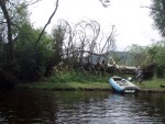 JIN PERLY ESKCH EK, Ndhern poas a skvl nlada panovala od prvn chvle. Berounka mla nad pomry ndhernou vodu stejn jako Otava a Vltava. Nsledn ochlazen a det ponkud schladili i poten naden, ale pes - fotografie 286