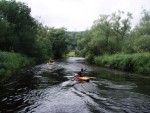 JIN PERLY ESKCH EK, Ndhern poas a skvl nlada panovala od prvn chvle. Berounka mla nad pomry ndhernou vodu stejn jako Otava a Vltava. Nsledn ochlazen a det ponkud schladili i poten naden, ale pes - fotografie 287