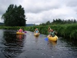 JIN PERLY ESKCH EK, Ndhern poas a skvl nlada panovala od prvn chvle. Berounka mla nad pomry ndhernou vodu stejn jako Otava a Vltava. Nsledn ochlazen a det ponkud schladili i poten naden, ale pes - fotografie 289