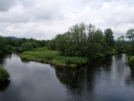 JIN PERLY ESKCH EK, Ndhern poas a skvl nlada panovala od prvn chvle. Berounka mla nad pomry ndhernou vodu stejn jako Otava a Vltava. Nsledn ochlazen a det ponkud schladili i poten naden, ale pes - fotografie 295