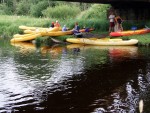 JIN PERLY ESKCH EK, Ndhern poas a skvl nlada panovala od prvn chvle. Berounka mla nad pomry ndhernou vodu stejn jako Otava a Vltava. Nsledn ochlazen a det ponkud schladili i poten naden, ale pes - fotografie 298