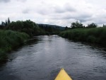 JIN PERLY ESKCH EK, Ndhern poas a skvl nlada panovala od prvn chvle. Berounka mla nad pomry ndhernou vodu stejn jako Otava a Vltava. Nsledn ochlazen a det ponkud schladili i poten naden, ale pes - fotografie 300