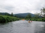 JIN PERLY ESKCH EK, Ndhern poas a skvl nlada panovala od prvn chvle. Berounka mla nad pomry ndhernou vodu stejn jako Otava a Vltava. Nsledn ochlazen a det ponkud schladili i poten naden, ale pes - fotografie 301