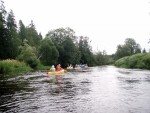 JIN PERLY ESKCH EK, Ndhern poas a skvl nlada panovala od prvn chvle. Berounka mla nad pomry ndhernou vodu stejn jako Otava a Vltava. Nsledn ochlazen a det ponkud schladili i poten naden, ale pes - fotografie 306