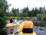 JIN PERLY ESKCH EK, Ndhern poas a skvl nlada panovala od prvn chvle. Berounka mla nad pomry ndhernou vodu stejn jako Otava a Vltava. Nsledn ochlazen a det ponkud schladili i poten naden, ale pes - fotografie 308