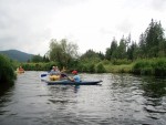 JIN PERLY ESKCH EK, Ndhern poas a skvl nlada panovala od prvn chvle. Berounka mla nad pomry ndhernou vodu stejn jako Otava a Vltava. Nsledn ochlazen a det ponkud schladili i poten naden, ale pes - fotografie 309