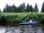 JIN PERLY ESKCH EK, Ndhern poas a skvl nlada panovala od prvn chvle. Berounka mla nad pomry ndhernou vodu stejn jako Otava a Vltava. Nsledn ochlazen a det ponkud schladili i poten naden, ale pes - fotografie 311