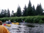 JIN PERLY ESKCH EK, Ndhern poas a skvl nlada panovala od prvn chvle. Berounka mla nad pomry ndhernou vodu stejn jako Otava a Vltava. Nsledn ochlazen a det ponkud schladili i poten naden, ale pes - fotografie 312