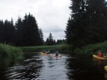 JIN PERLY ESKCH EK, Ndhern poas a skvl nlada panovala od prvn chvle. Berounka mla nad pomry ndhernou vodu stejn jako Otava a Vltava. Nsledn ochlazen a det ponkud schladili i poten naden, ale pes - fotografie 314