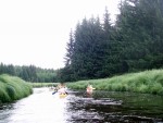 JIN PERLY ESKCH EK, Ndhern poas a skvl nlada panovala od prvn chvle. Berounka mla nad pomry ndhernou vodu stejn jako Otava a Vltava. Nsledn ochlazen a det ponkud schladili i poten naden, ale pes - fotografie 315