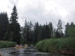 JIN PERLY ESKCH EK, Ndhern poas a skvl nlada panovala od prvn chvle. Berounka mla nad pomry ndhernou vodu stejn jako Otava a Vltava. Nsledn ochlazen a det ponkud schladili i poten naden, ale pes - fotografie 317