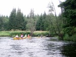 JIN PERLY ESKCH EK, Ndhern poas a skvl nlada panovala od prvn chvle. Berounka mla nad pomry ndhernou vodu stejn jako Otava a Vltava. Nsledn ochlazen a det ponkud schladili i poten naden, ale pes - fotografie 319