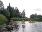 JIN PERLY ESKCH EK, Ndhern poas a skvl nlada panovala od prvn chvle. Berounka mla nad pomry ndhernou vodu stejn jako Otava a Vltava. Nsledn ochlazen a det ponkud schladili i poten naden, ale pes - fotografie 320