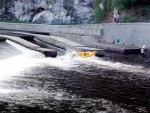 JIN PERLY ESKCH EK, Ndhern poas a skvl nlada panovala od prvn chvle. Berounka mla nad pomry ndhernou vodu stejn jako Otava a Vltava. Nsledn ochlazen a det ponkud schladili i poten naden, ale pes - fotografie 346