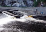 JIN PERLY ESKCH EK, Ndhern poas a skvl nlada panovala od prvn chvle. Berounka mla nad pomry ndhernou vodu stejn jako Otava a Vltava. Nsledn ochlazen a det ponkud schladili i poten naden, ale pes - fotografie 348