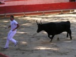 LETN FRANCOUZSK POHODA NA EKCH Gard, Tarn, Herault a Ardeche, Skvl slunen poas na rozdl od detivch ech, jin temperament a b zpasy, skvl vno, ndhern eky, przran a tepl voda, no prost pohoda jak m bt... - fotografie 408