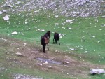 TARA - ERN HORA  - expedin rafting v nejhlubm kaonu Evropy, Bjen expedin raftov akce, skvl parta a bezva posko.... v kombinaci s chvatnou prodou....   co dodat....? zkuste to taky! - fotografie 57