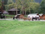 Podzimn RAFTING pod Grossglocknerem, Posledn zahranin rafting sezony 2006 se skuten vydail. Pohodln autobus, slunen a nebvale tepl poas, navc skvle vychytan voda. PROST PARDA NA ZVR SEZONY. - fotografie 4