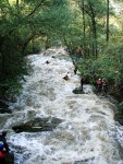 VAVINEC 2006, Opt drsn akcika pro zdatn vodky a milovnky adrenalinu. Neobvykle tepl a slunn poas, v kombinaci s nadprmrnou, vodou byly zrukou skvlch zitk... - fotografie 73