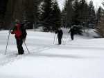 Nzk Taury na skialpech, Alpsk poas tentokrt ukzalo vechny sv tve, od mraziv ledovho slunce, pes alpskou horskou boui s vichic, a po usmvav slunen den. Take jako obvykle dky Alponoi :-) - fotografie 52