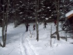 Nzk Taury na skialpech, Alpsk poas tentokrt ukzalo vechny sv tve, od mraziv ledovho slunce, pes alpskou horskou boui s vichic, a po usmvav slunen den. Take jako obvykle dky Alponoi :-) - fotografie 223