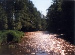 SEVERN PERLY ESKCH EK, Akort voda, akort poas, akort parta, prost akce jak m bt, prost akce akort. :-) Neobvykl prosted otevelo oi vem a nkomu i proplchlo :-) - fotografie 16