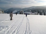 Fotky ze SKI ALPINE WORKSHOPU 2008, Dobr snhov podmnky, skvl lektoi - dky Ondro a Tomi, a obrovsk nasazen vech astnk pineslo ken ovoce. Tady se mete kouknout na pr fotek z prbhu.... - fotografie 6