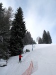 Fotky ze SKI ALPINE WORKSHOPU 2008, Dobr snhov podmnky, skvl lektoi - dky Ondro a Tomi, a obrovsk nasazen vech astnk pineslo ken ovoce. Tady se mete kouknout na pr fotek z prbhu.... - fotografie 14