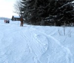 Fotky ze SKI ALPINE WORKSHOPU 2008, Dobr snhov podmnky, skvl lektoi - dky Ondro a Tomi, a obrovsk nasazen vech astnk pineslo ken ovoce. Tady se mete kouknout na pr fotek z prbhu.... - fotografie 97